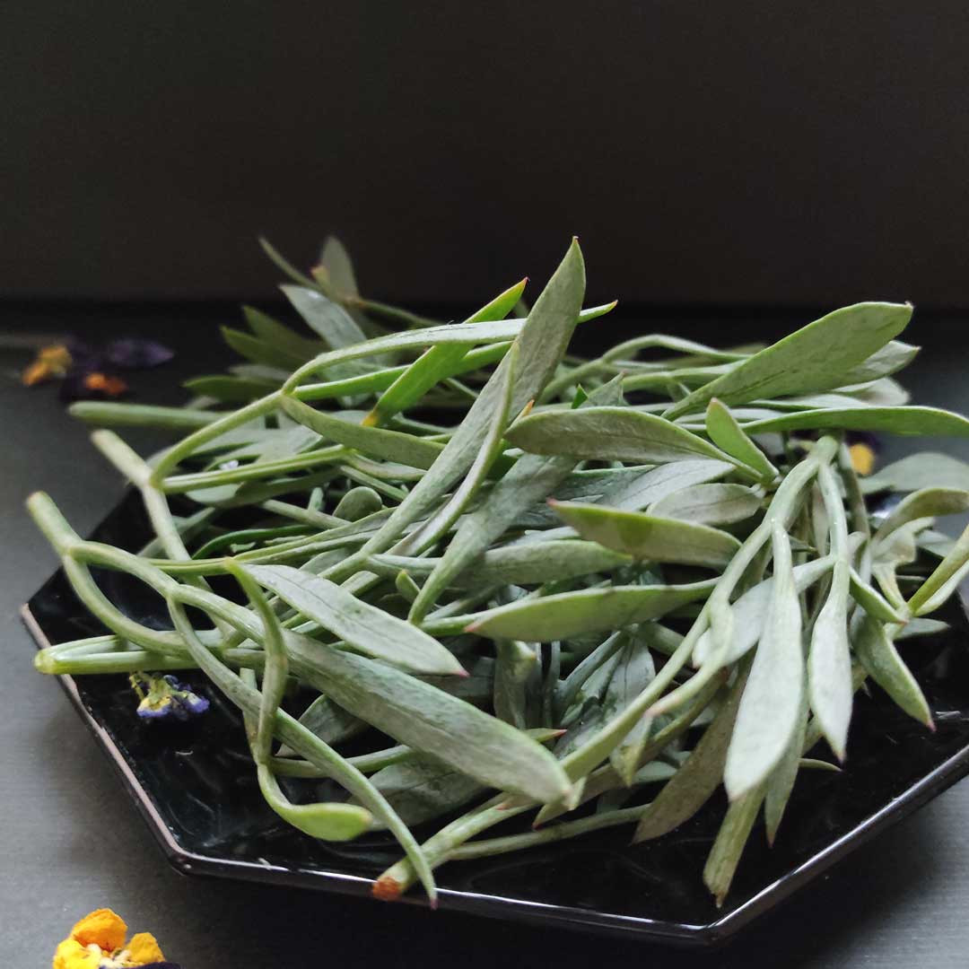 Φρέσκος κρίταμος