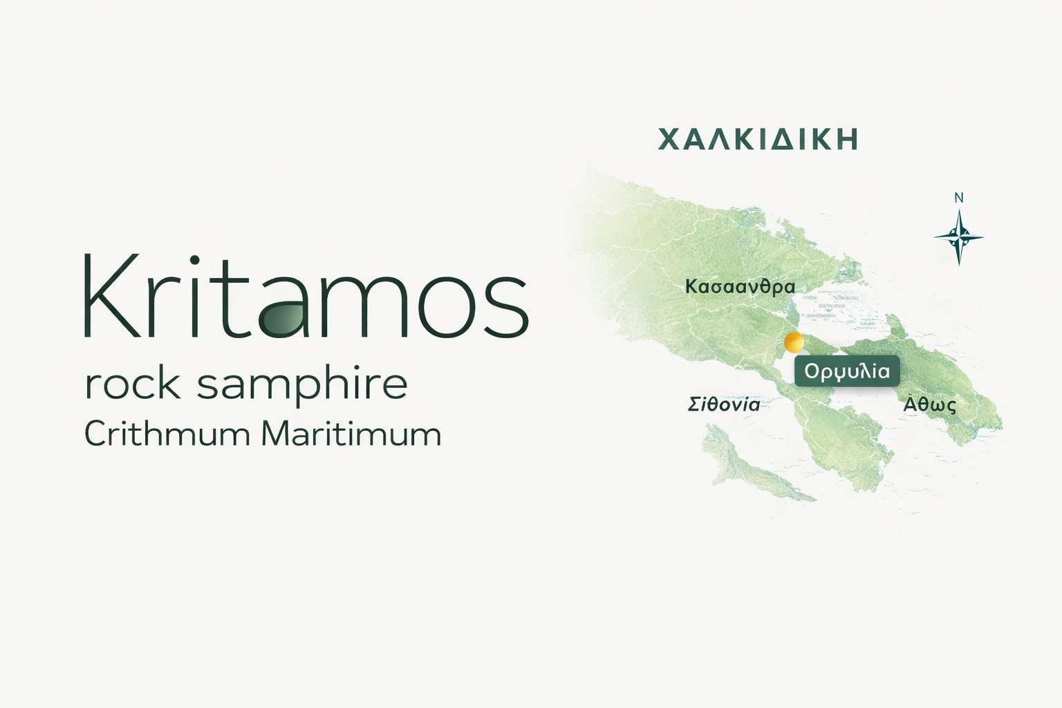 Kritamos Χαλκιδική Ορμύλια